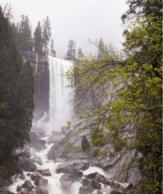 Waterfall in Yosemite National Park - Wild Yosemite Adventures