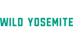 Wild Yosemite Adventure Guide Service