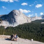 Wild Yosemite Guided Tours - Yosemite: Off The Beaten Path - Customizable Private Tour