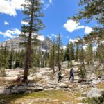 Wild Yosemite Adventure Guide: High Country Explorer - Private Hiking Tour