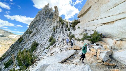 Wild Yosemite Adventure Guide: High Country Explorer - Private Hiking Tour