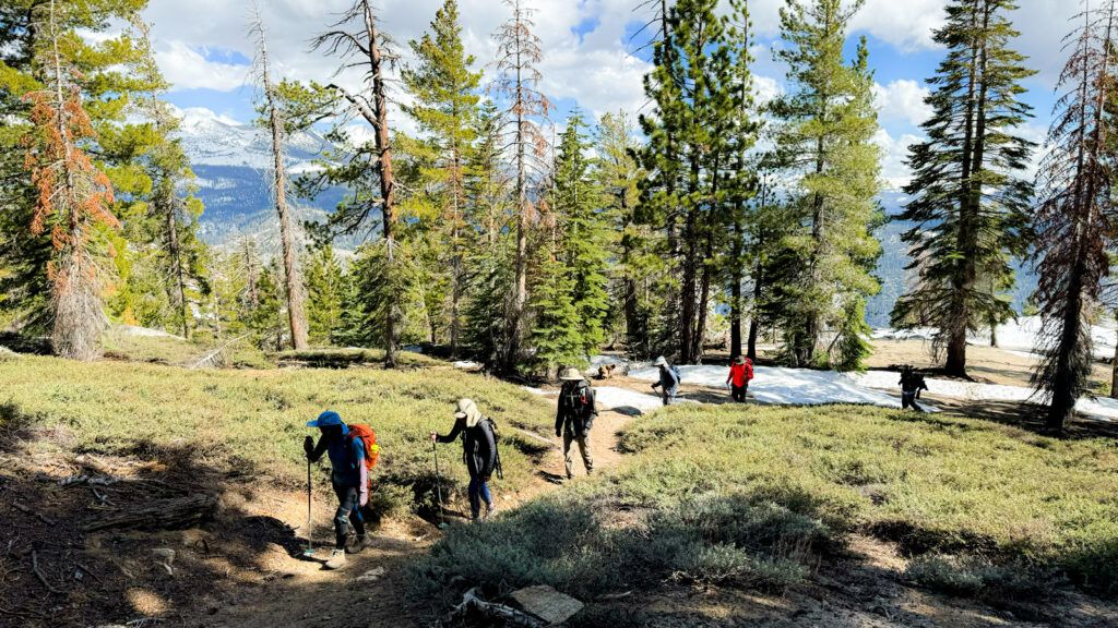 Wild Yosemite team building hike led by professional guide.