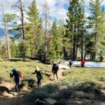 Wild Yosemite team building hike led by professional guide.