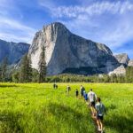 Yosemite Highlights Tour from Sonora